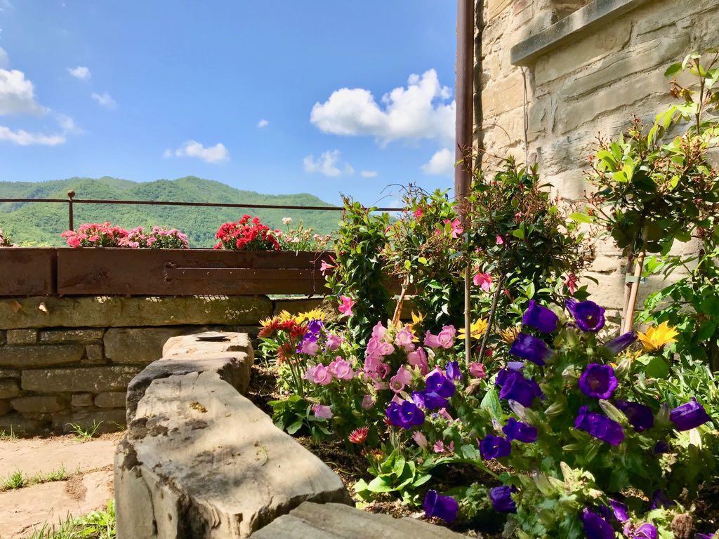 Mercatello sul Metauro Agriturismo Biologico Castello Della Pieve מראה חיצוני תמונה